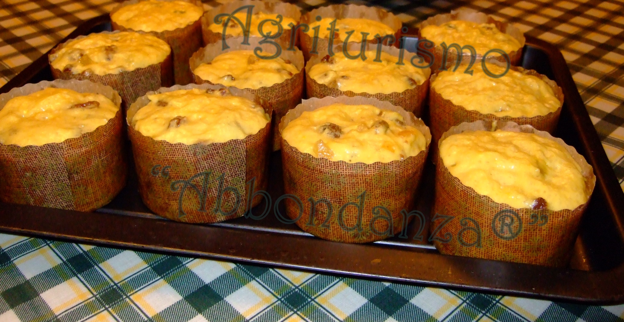 Panettoncini in lievitazione - “Abbondanza®”